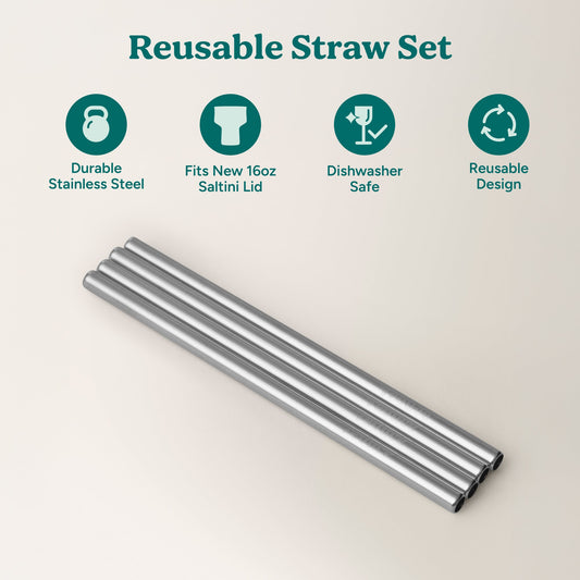 saltini-straw-set-g4 4PK_SaltiniStraws_SS-2.jpg