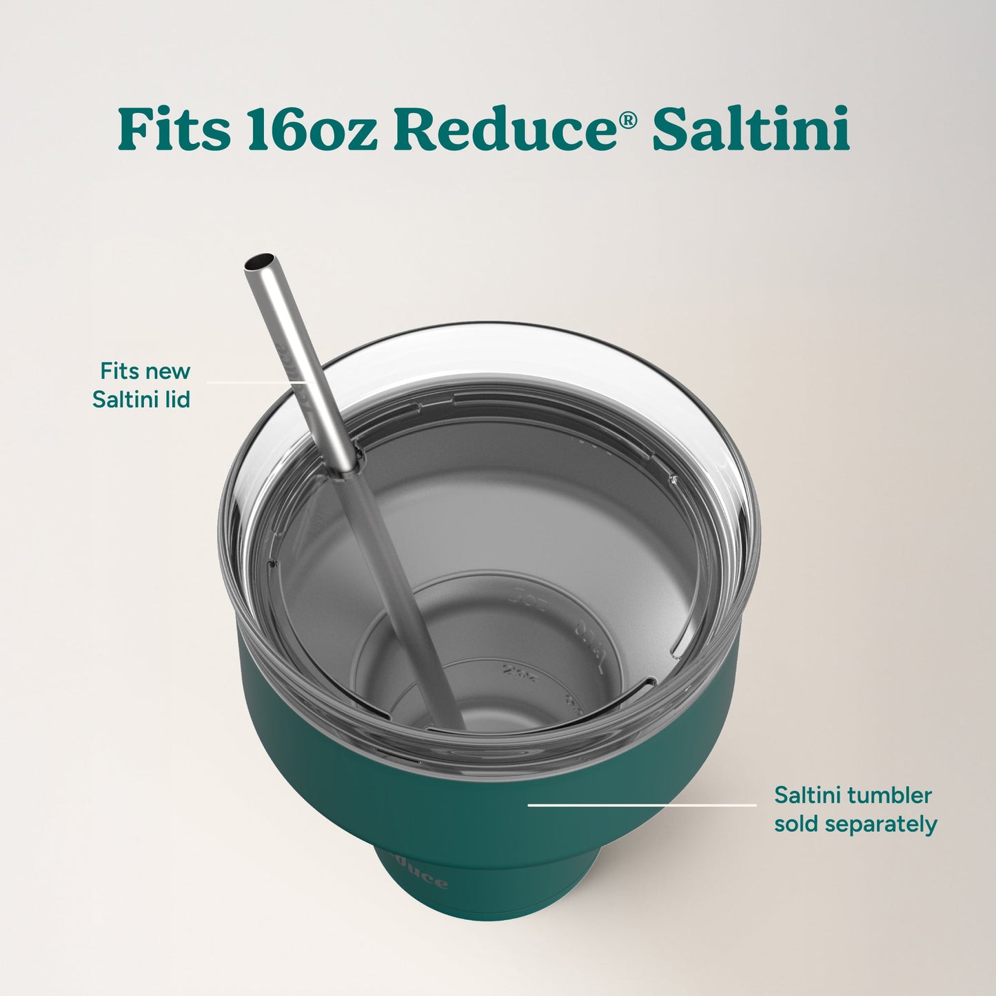 saltini-straw-set-g4 4PK_SaltiniStraws_SS-4.jpg