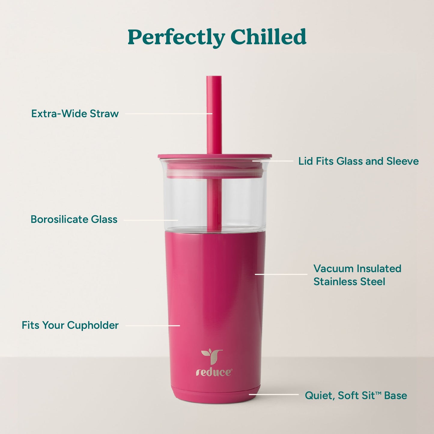 aspen-20-oz-a5 Aspen_Dragonfruit_PDP_Infographic2.jpg
