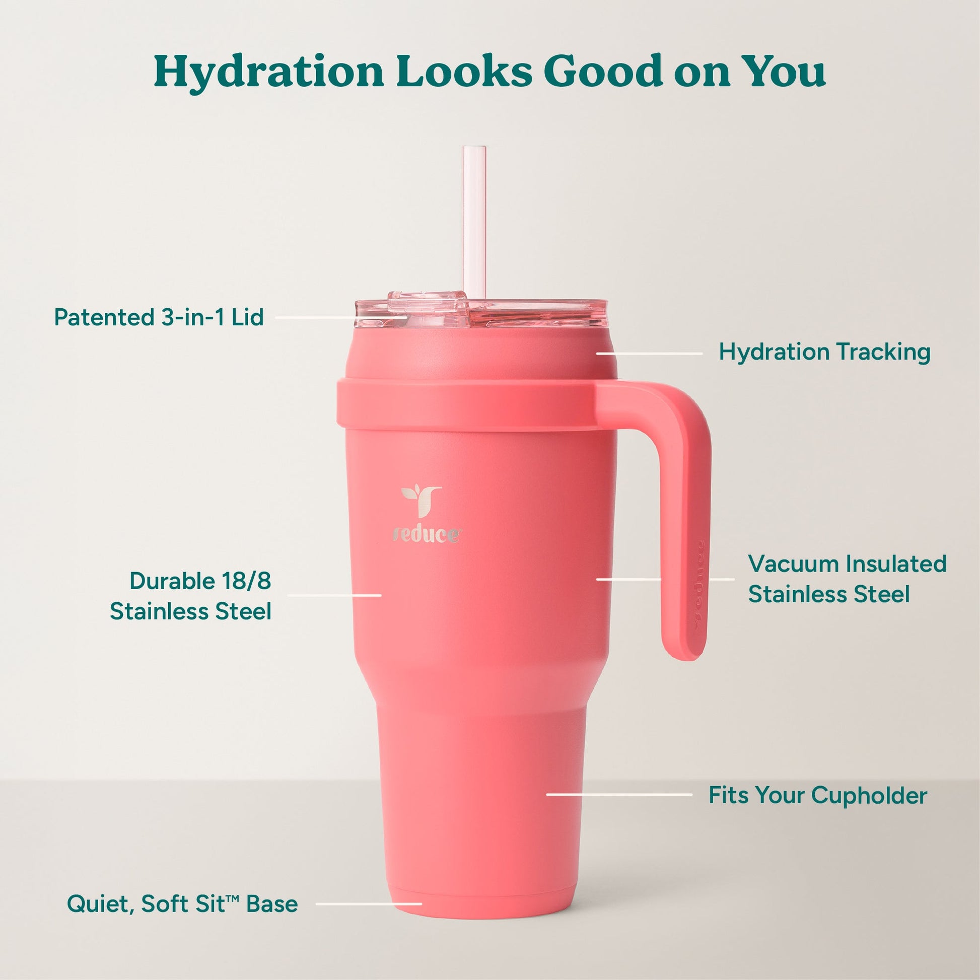cold1-40-oz-t4 Cold1_40oz_Daiquiri_Infographic_2.jpg