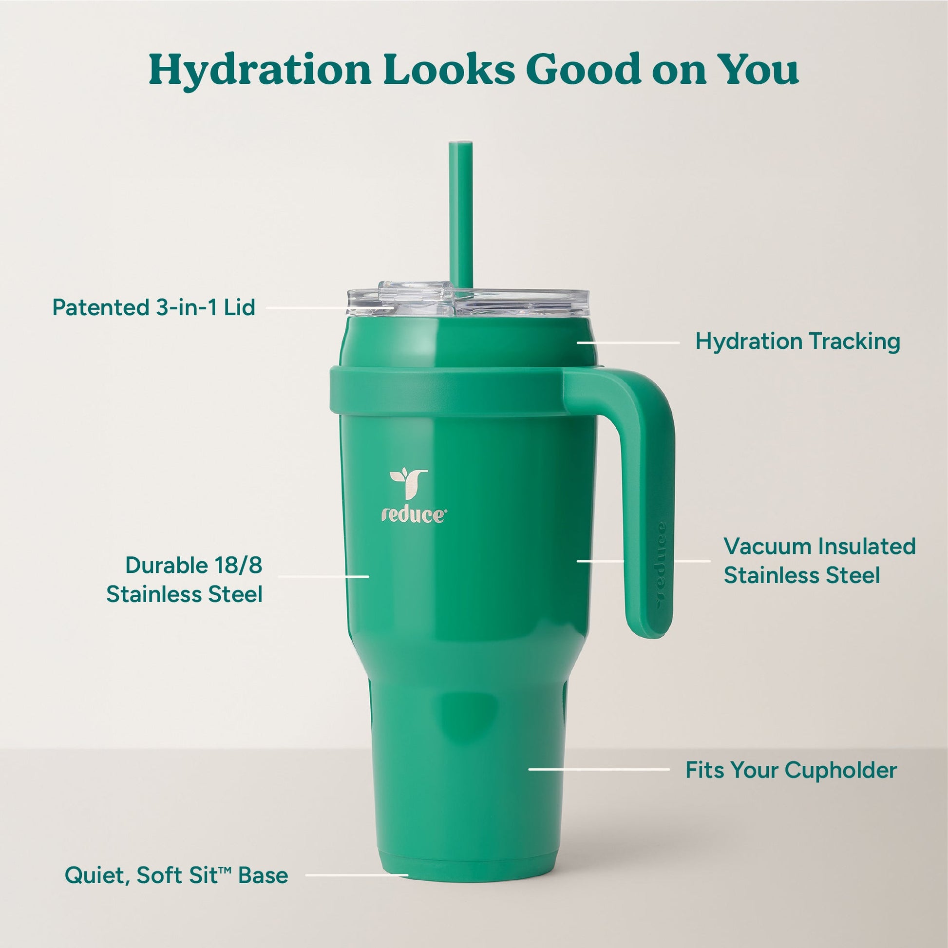 cold1-40-oz-t4 Cold1_40oz_PalmLeaf_Infographic_2.jpg