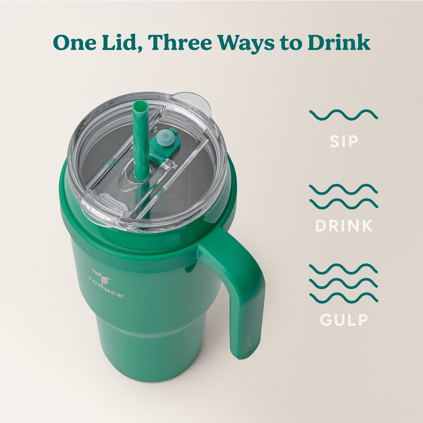 cold1-40-oz-t4 Cold1_40oz_PalmLeaf_Infographic_3.jpg