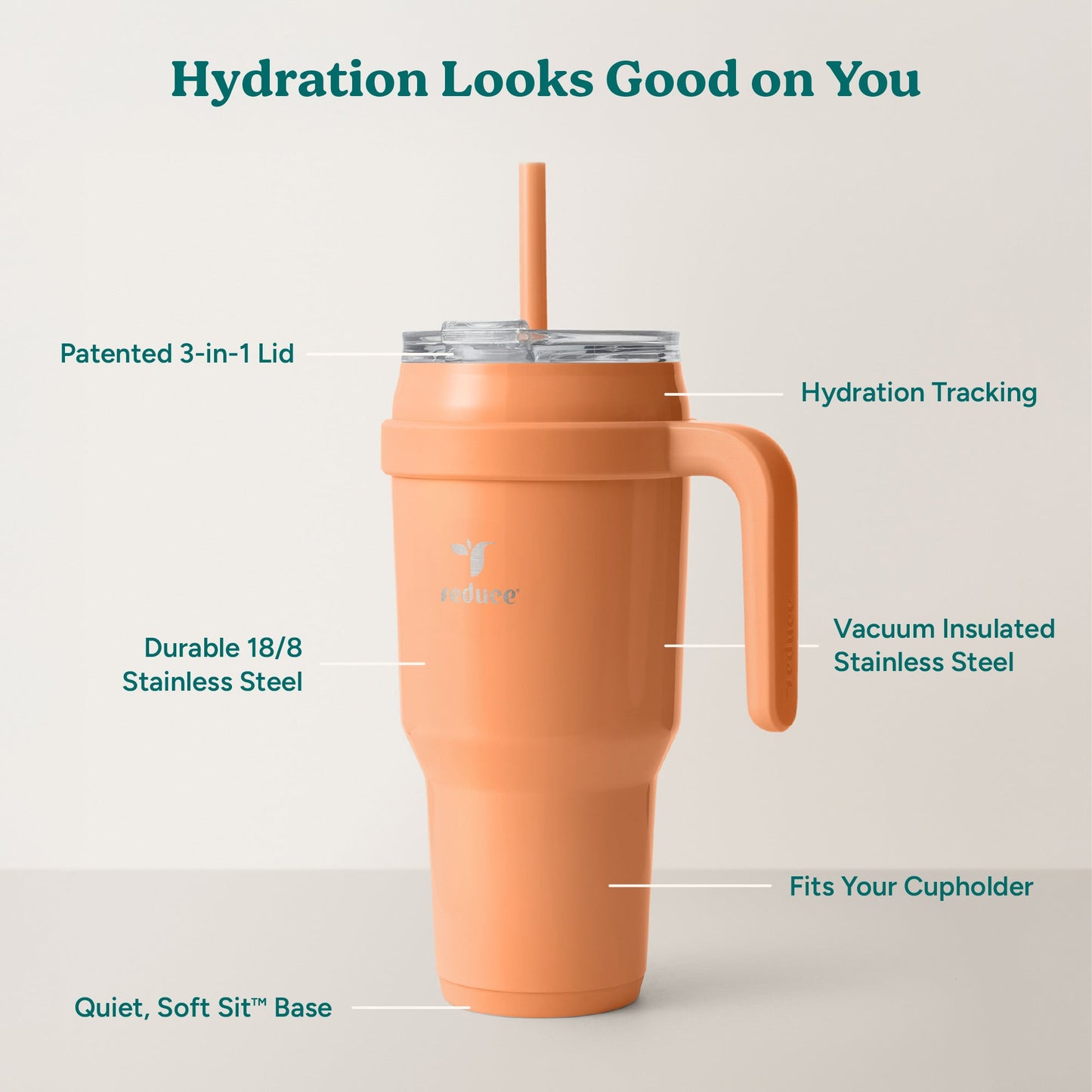 cold1-40-oz-t4 Cold1_40oz_Papaya_Infographic_2.jpg