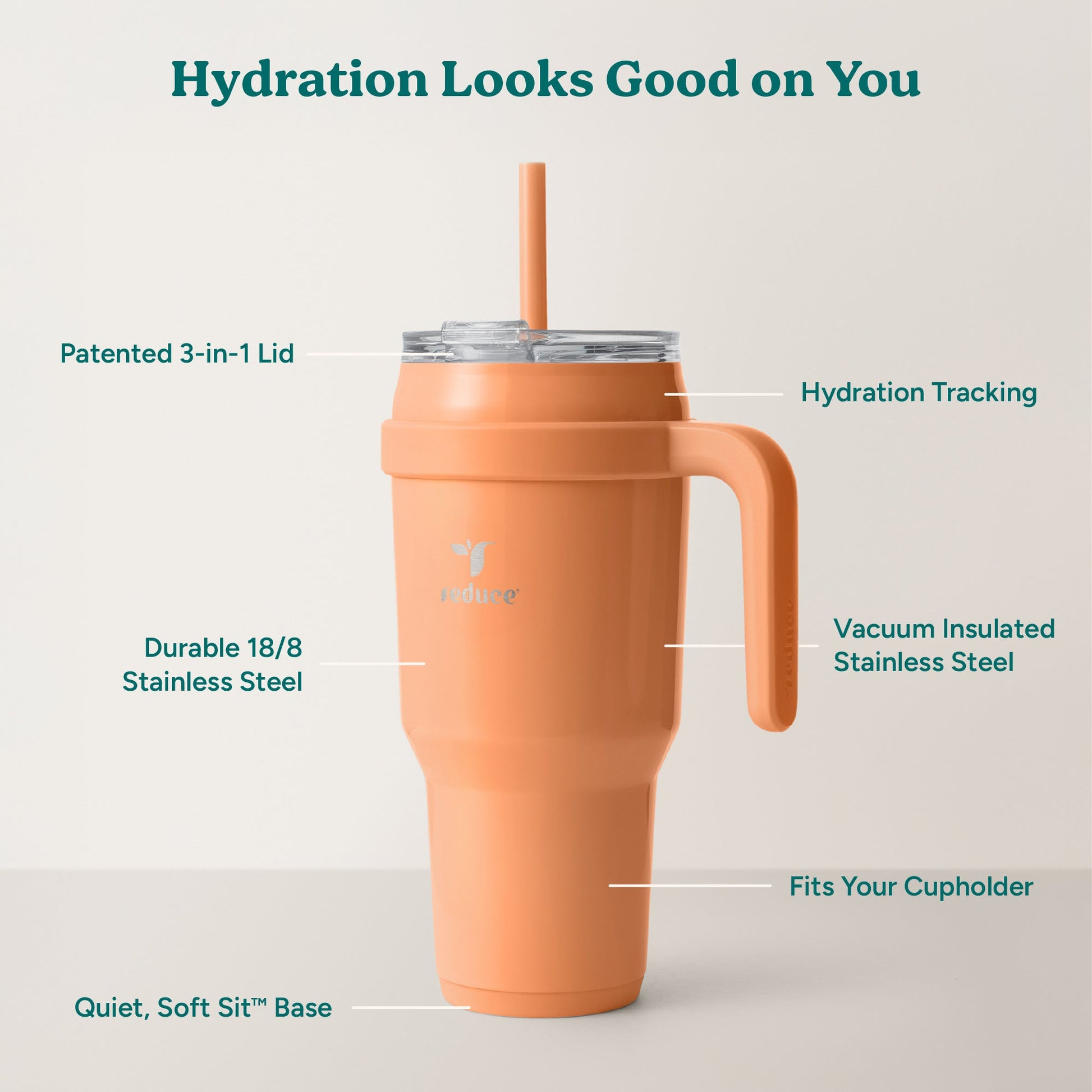 cold1-40-oz-t4 Cold1_40oz_Papaya_Infographic_2.jpg