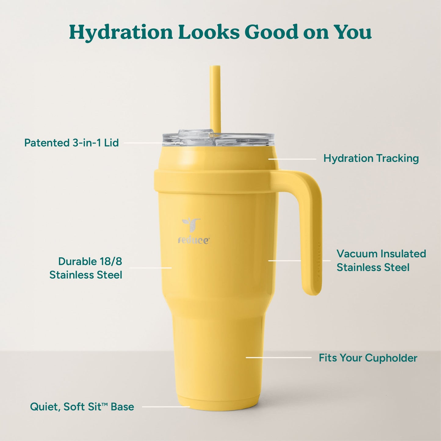 cold1-40-oz-t4 Cold1_40oz_Pineapple_Infographic_2.jpg