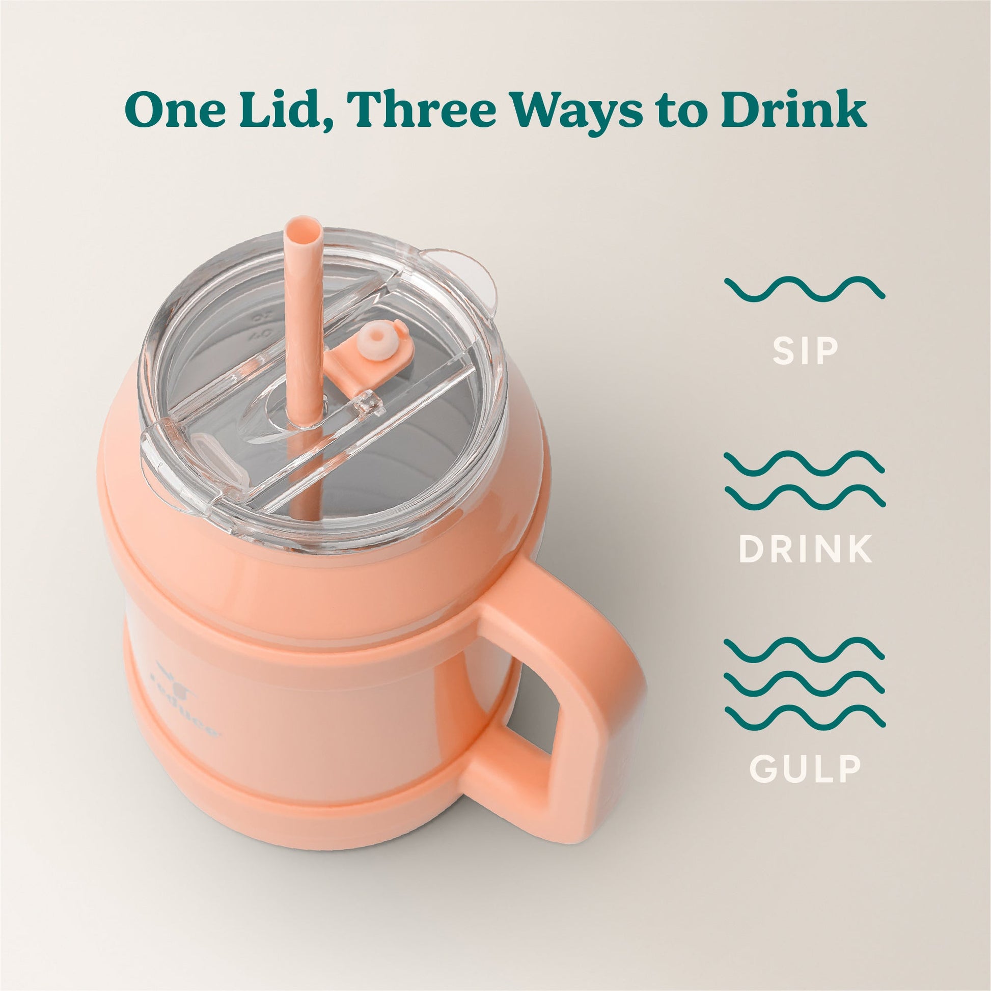 cold1-desktop-50-oz-c0 Cold1_50oz_Desktop_Sedona_Infographic_3.jpg